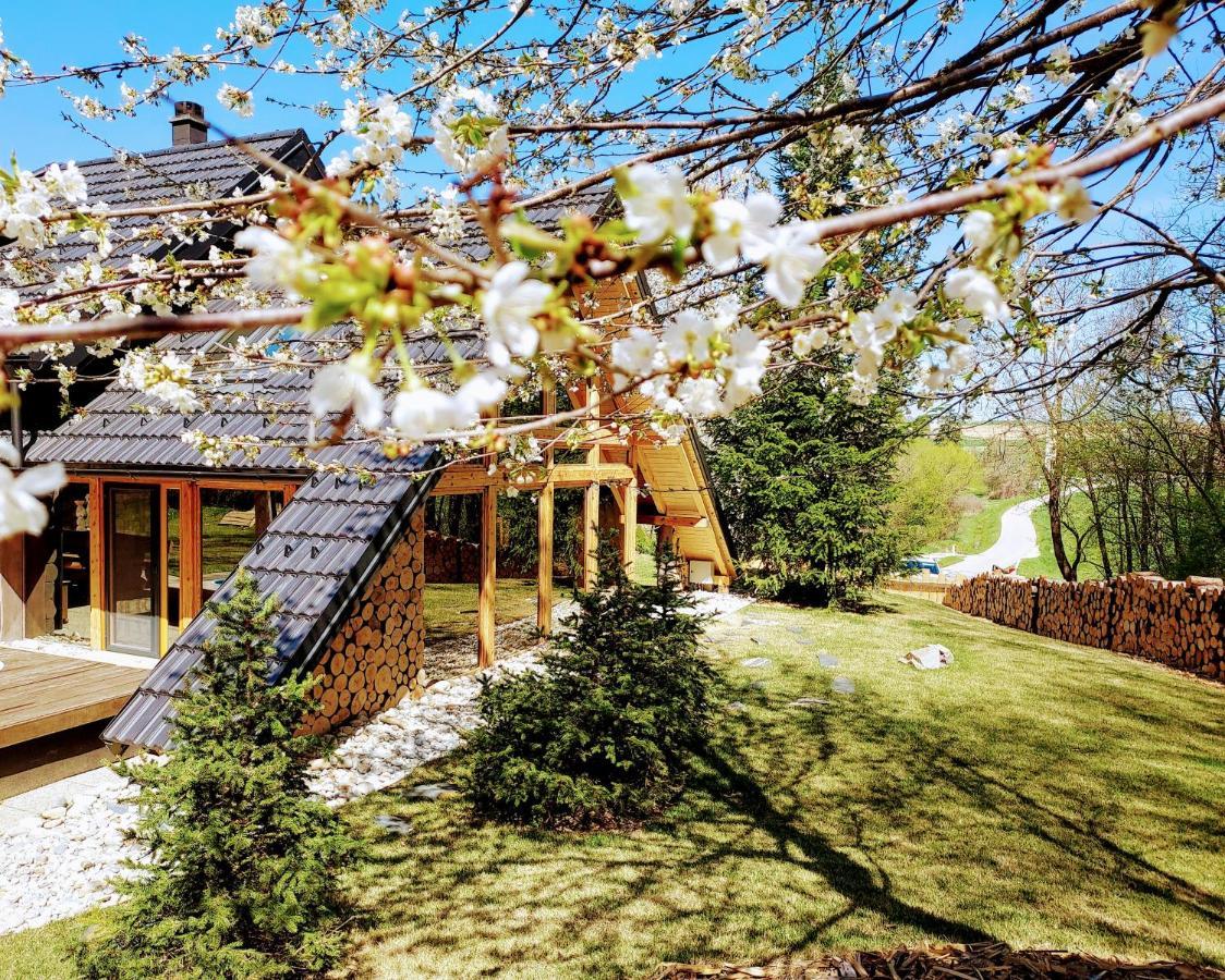 Koca Na Samem Villa Moravske-Toplice Dış mekan fotoğraf